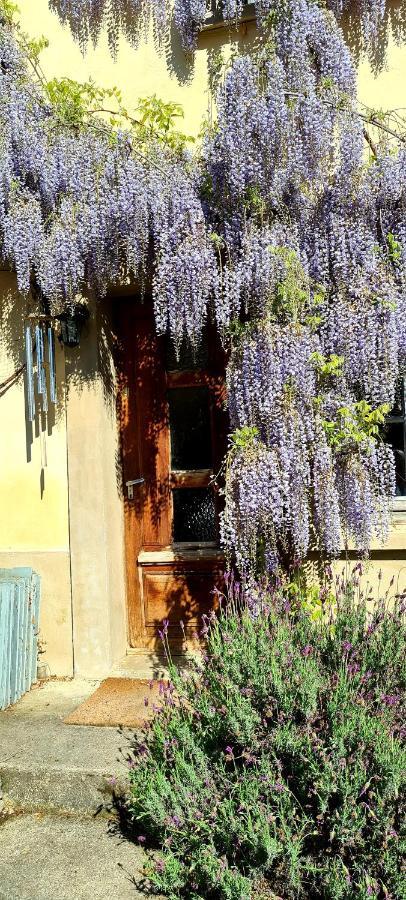 La Maison Des Tisserandes Montségur Exterior foto